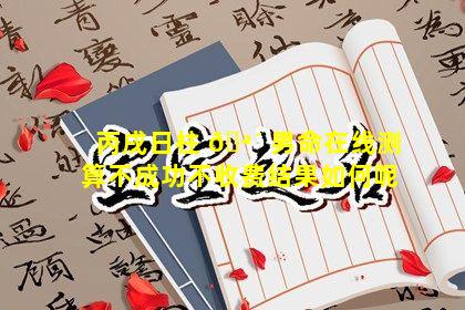 丙戌日柱 🪴 男命在线测算不成功不收费结果如何呢